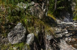 Felsiges Bachufer mit grünem Laub, Baumwurzeln und fließendem Wasser. Im Sonnenlicht sind Steine entlang des Bachs verstreut. (KI generierte Beschreibung)