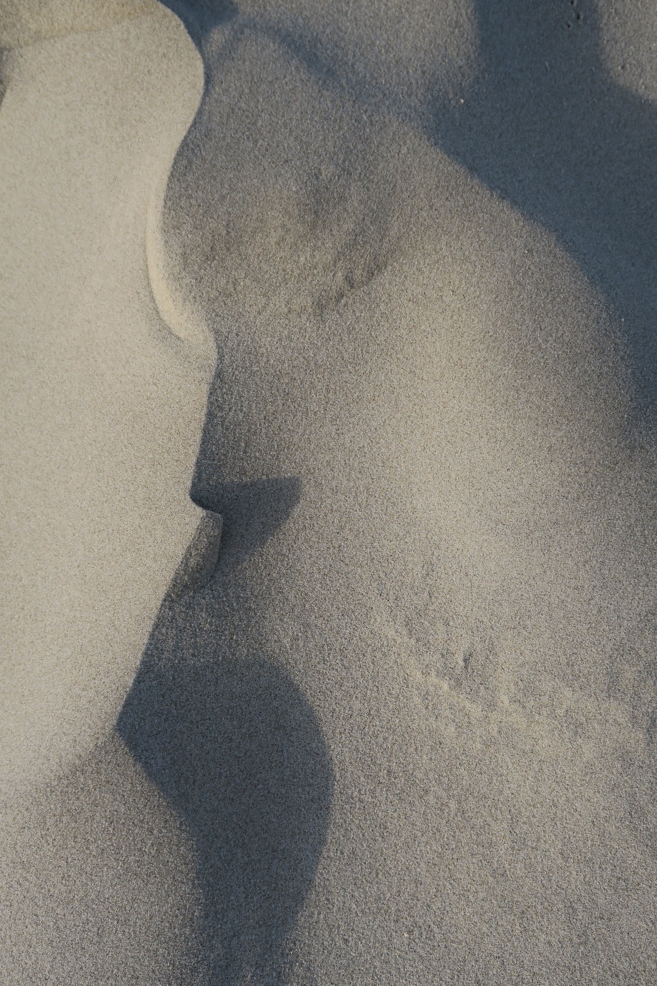 Nahaufnahme von glattem Sand mit sanften Kurven und Schatten, die abstrakte Formen und subtile Texturmuster erzeugen. (KI generierte Beschreibung)