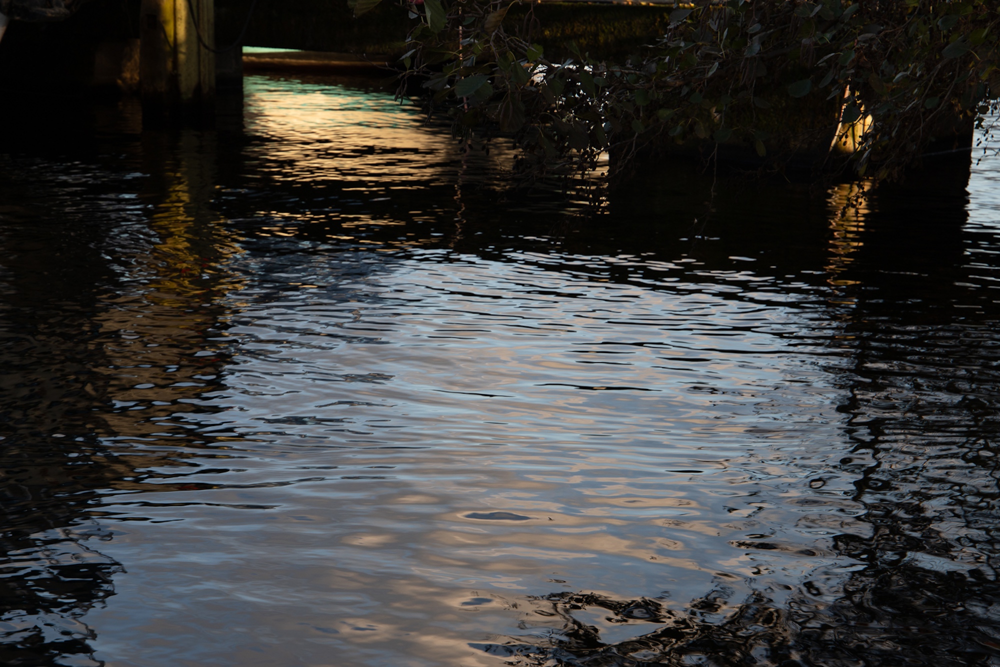Plätscherndes Wasser unter einer Brücke mit Lichtreflexen und überhängenden Ästen, die teilweise sichtbar sind. (KI generierte Beschreibung)