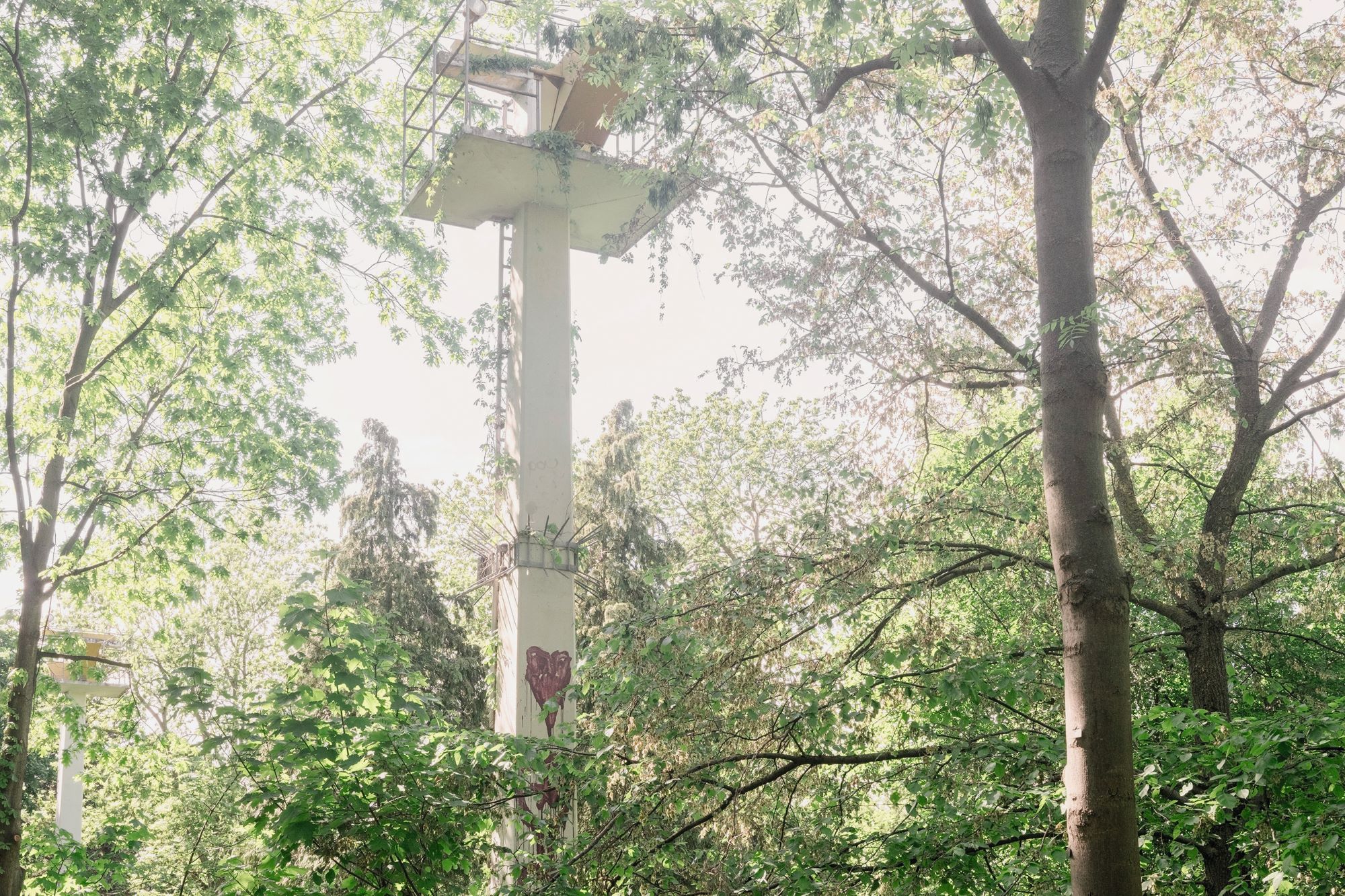 Eine Betonsäule mit Graffiti steht inmitten dichter grüner Bäume und das Sonnenlicht fällt durch das Laub. (KI generierte Beschreibung)