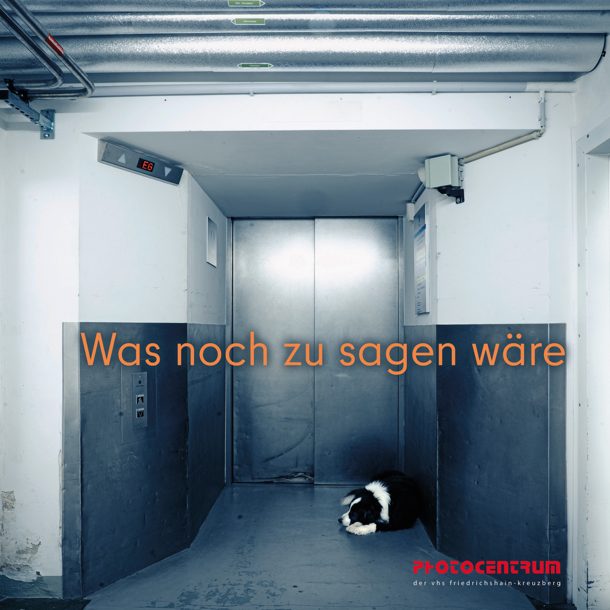 Ein schwarz-weißer Hund liegt auf dem Boden vor einem geschlossenen Industrieaufzug; der deutsche Text lautet: „Was noch zu sagen wäre.“. (KI generierte Beschreibung)